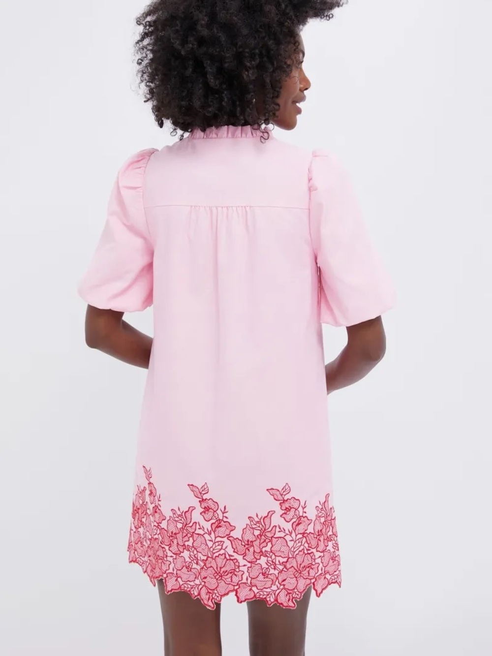Hyacinth House Tuckernuck Mimi embroidered mini dress Small - Picture 7 of 8
